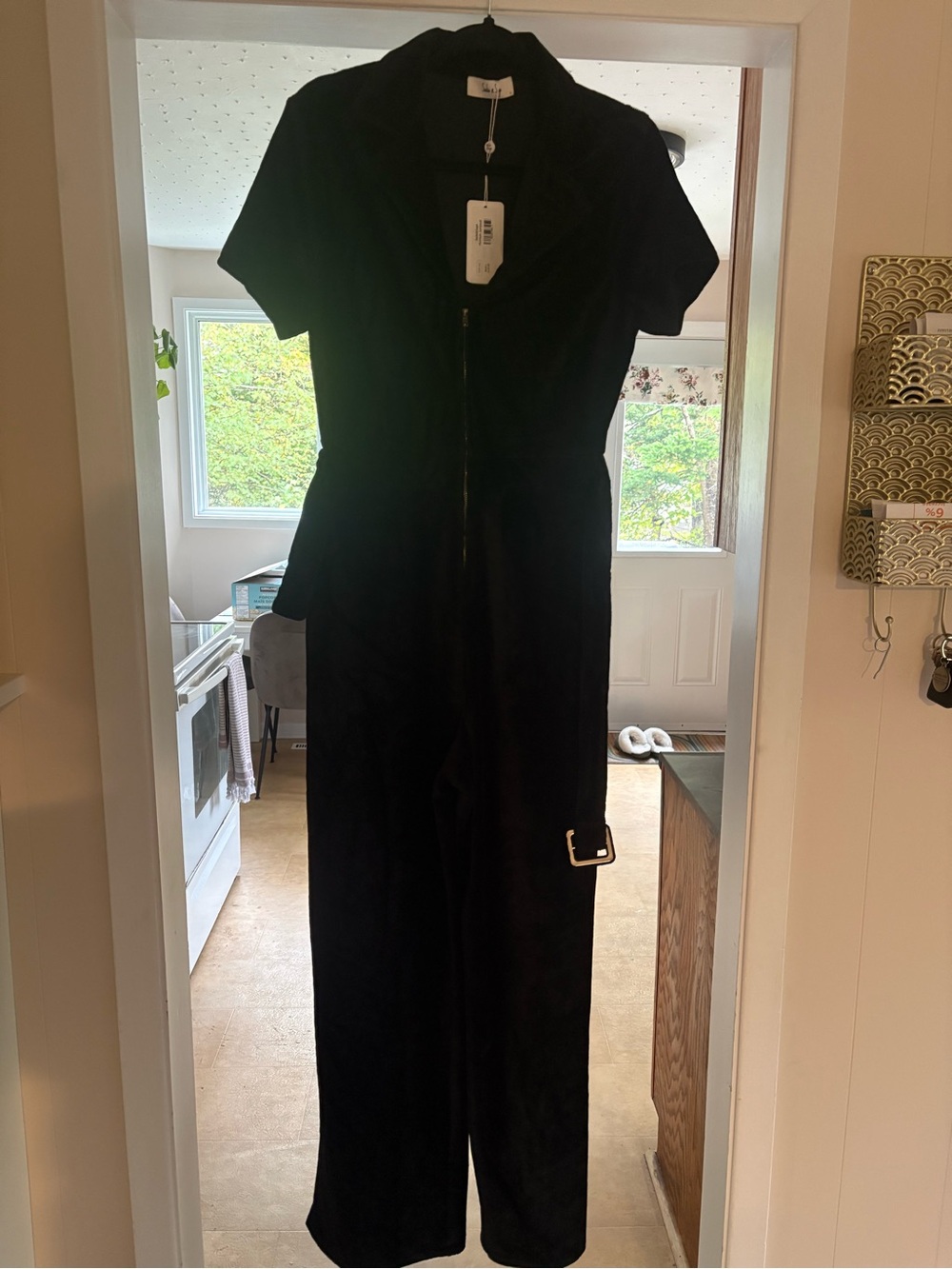 Sadie & Sage Black Velvet Short-Sleeve Zip-Front Jumpsuit with Belt